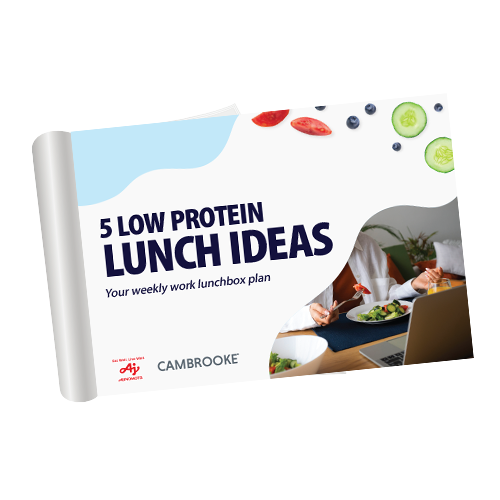 Adults-LunchboxIdeas-Updated_thumbnail