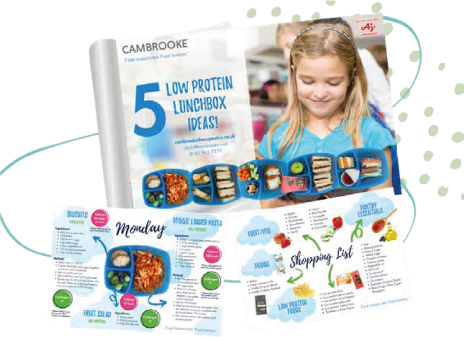5 Low Protein Lunchbox Ideas